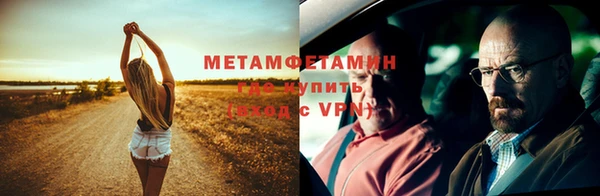 прущие грибы Вязники